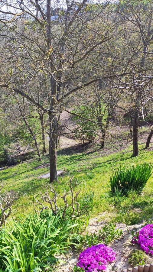 Vila Cascina Stella Asti Exteriér fotografie